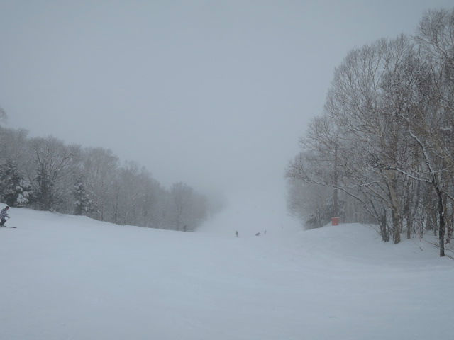 2015/03/08（日）　長野県　志賀高原　丸池・蓮池の速報