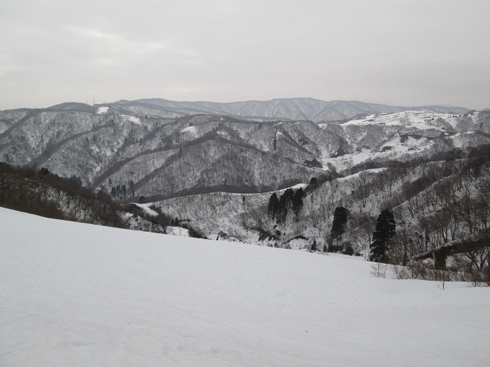 雪多い