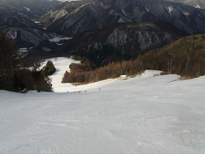 雪質よろし