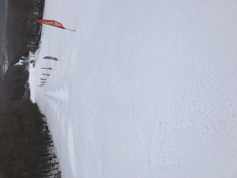 エキスパートコースオープン