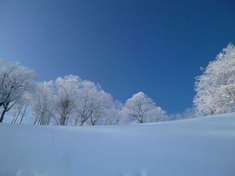 樹氷と青い空