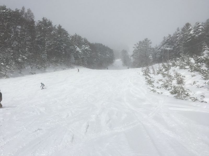 今シーズンは雪が豊富です