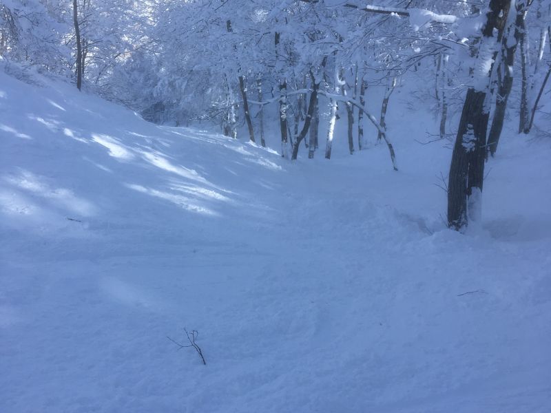 良い雪でした