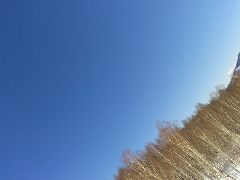 全てに感謝！
