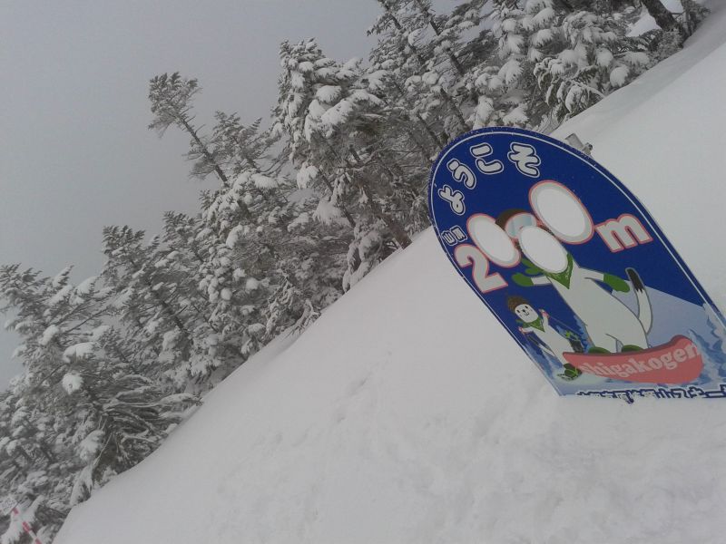 積雪充分！
