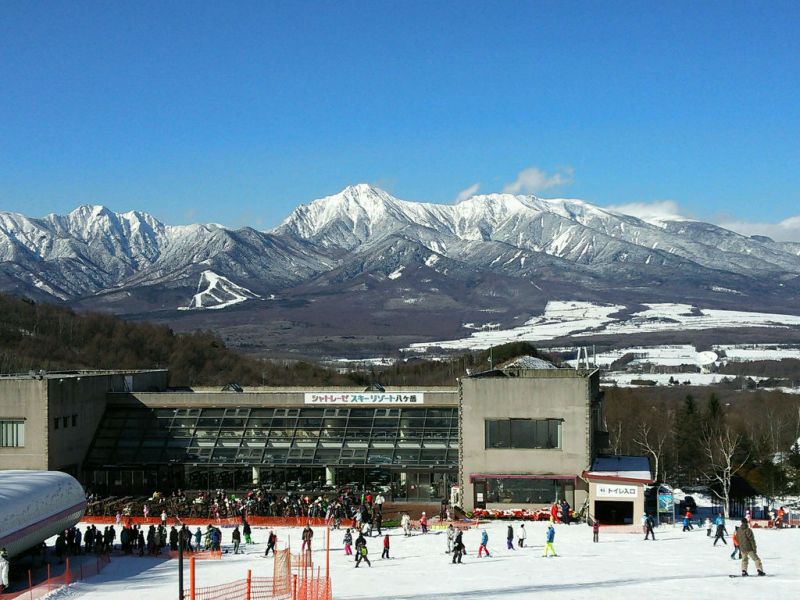 先週のシャトレーゼ
