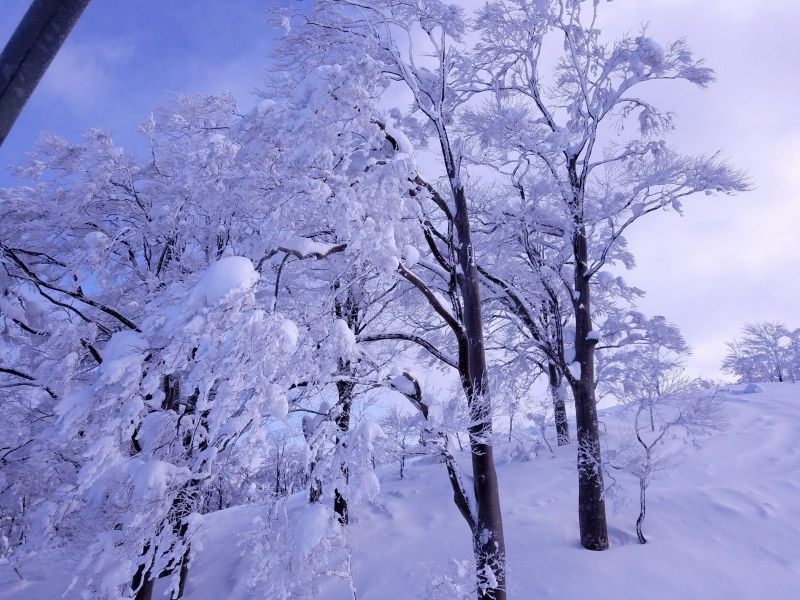 吹雪