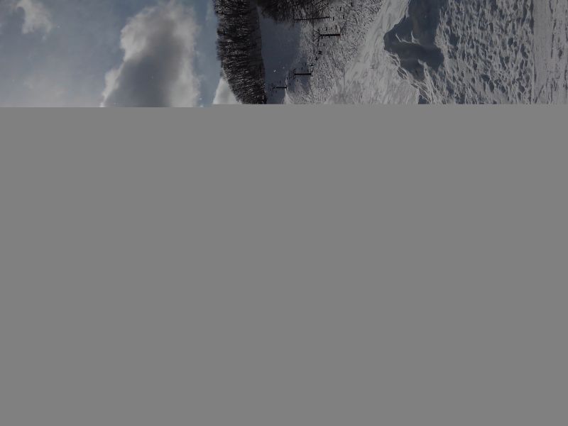 雪質よし、レベル高い