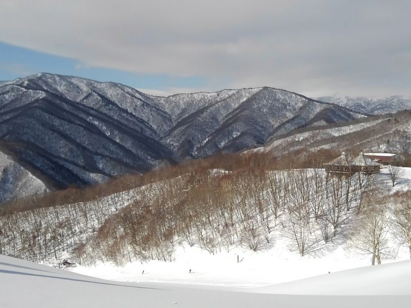 雪質よし