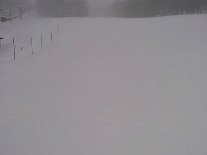 雪質良好
