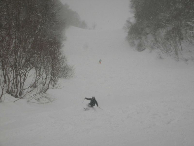 1/4新雪の宝台樹