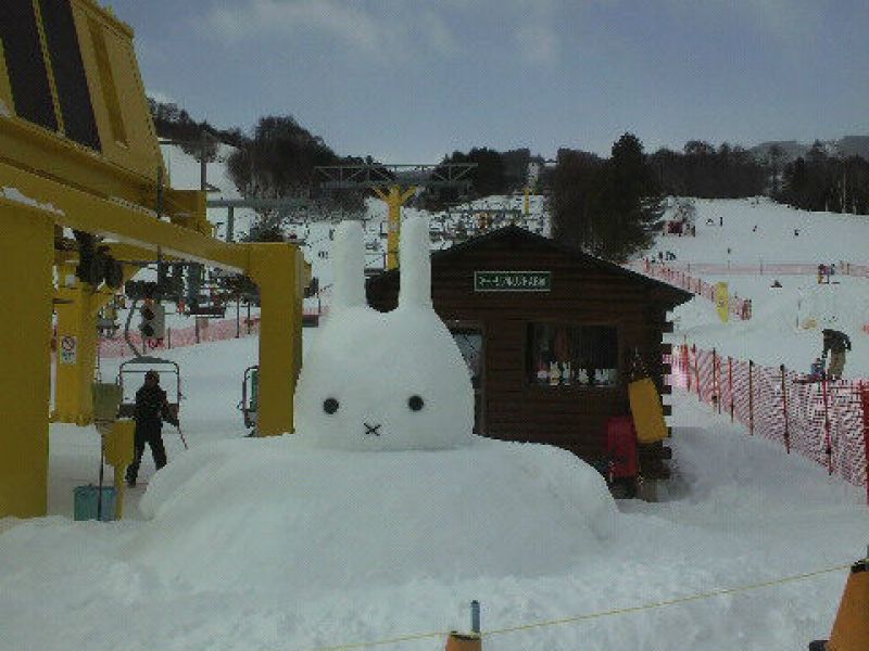 空いてました