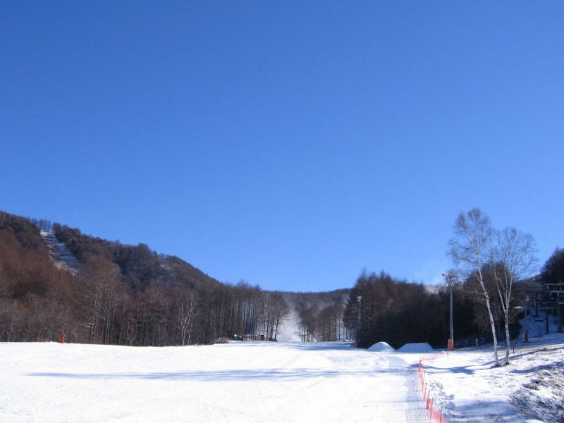 良い天気でした！