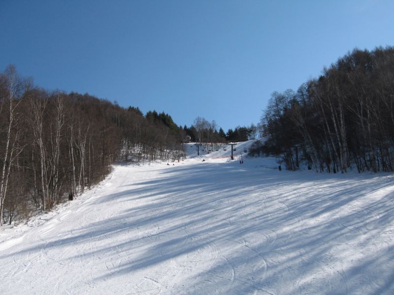 気持ちよく滑れました