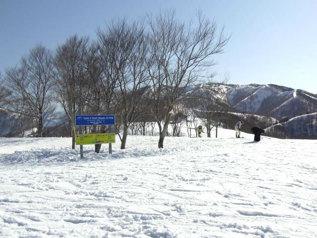 コースが豊富です。