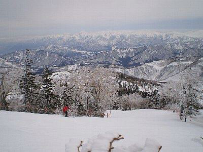 雪質最高