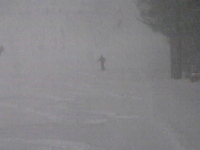 新雪最高・・・・帰りは高速全滅