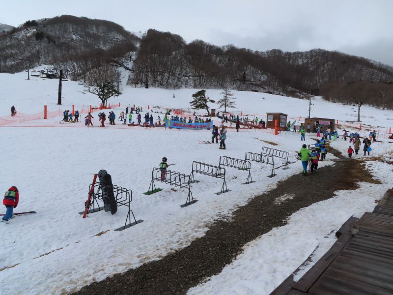今年は雪が少なめです。