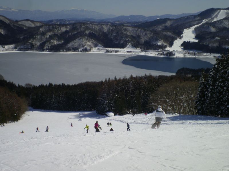 暖かくなりました