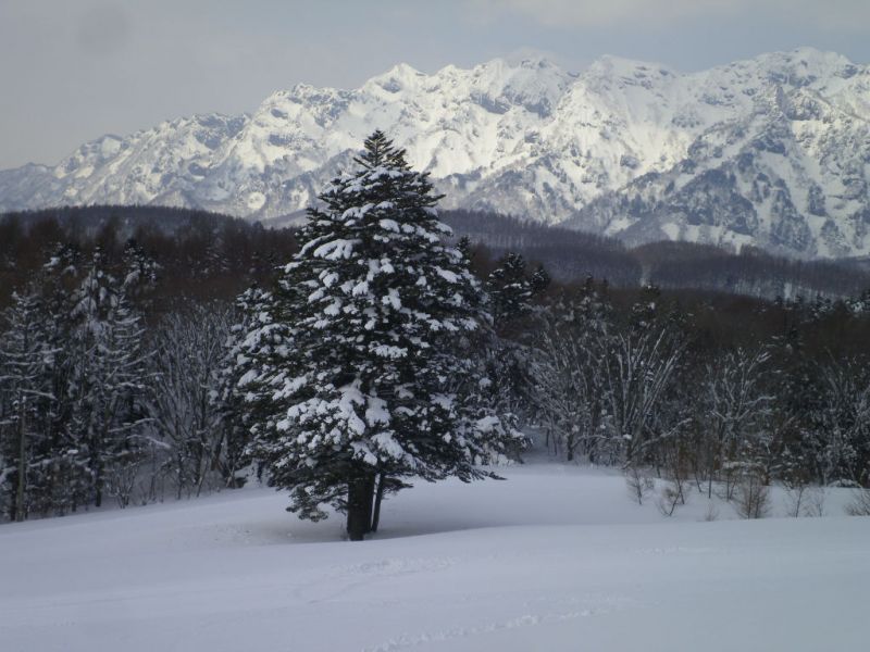 新幹線が金沢に延伸。写真を撮ろうと思いましたが・・・