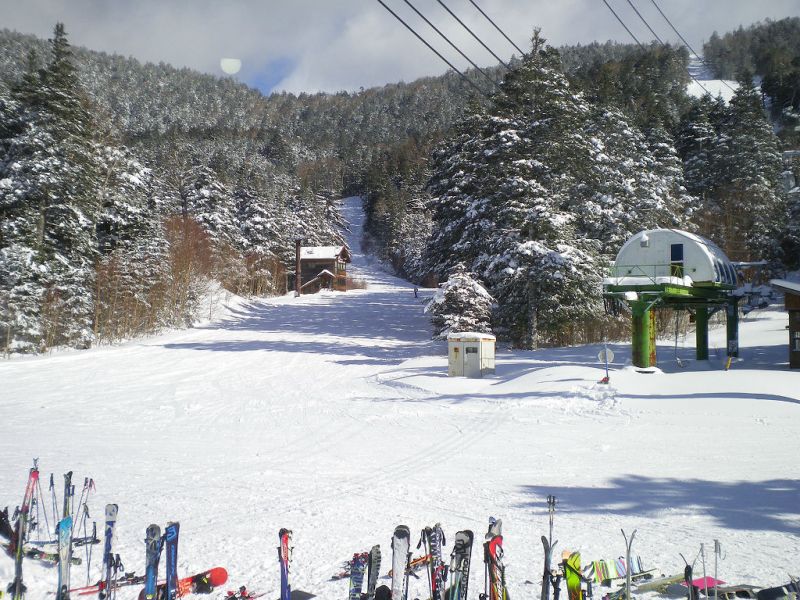 北が大雪なので