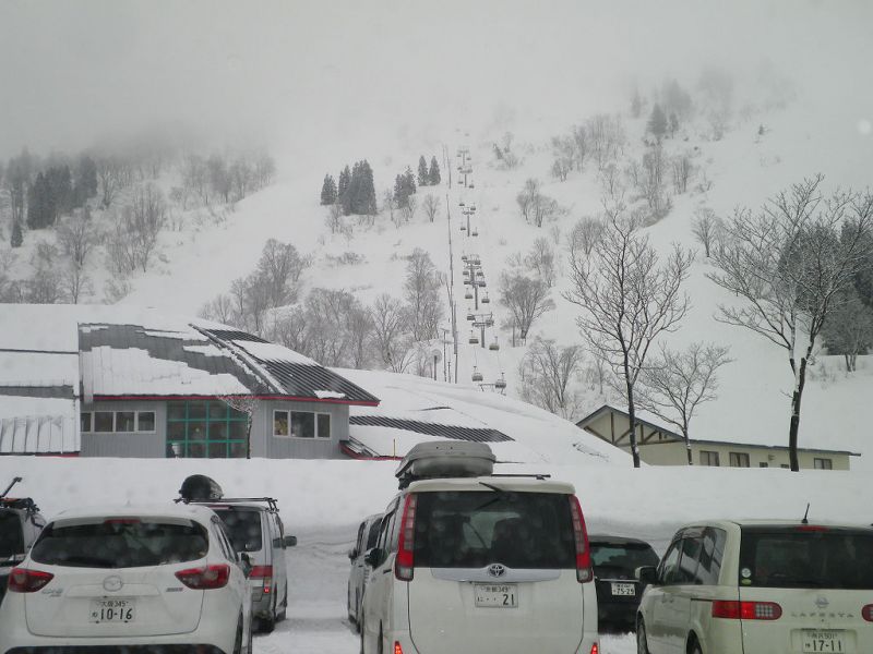 1月21日濃霧で残念でした