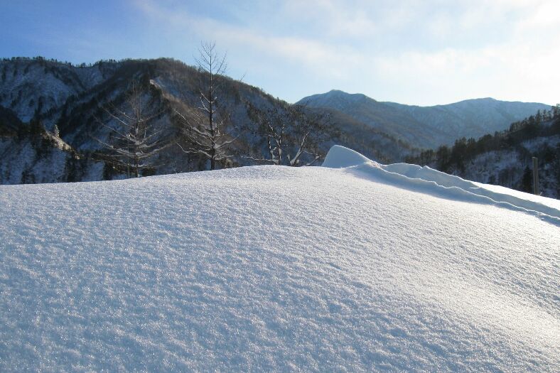 フカフカの雪ですべれました！
