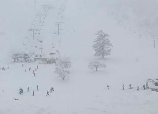 1月14日の大雪！
