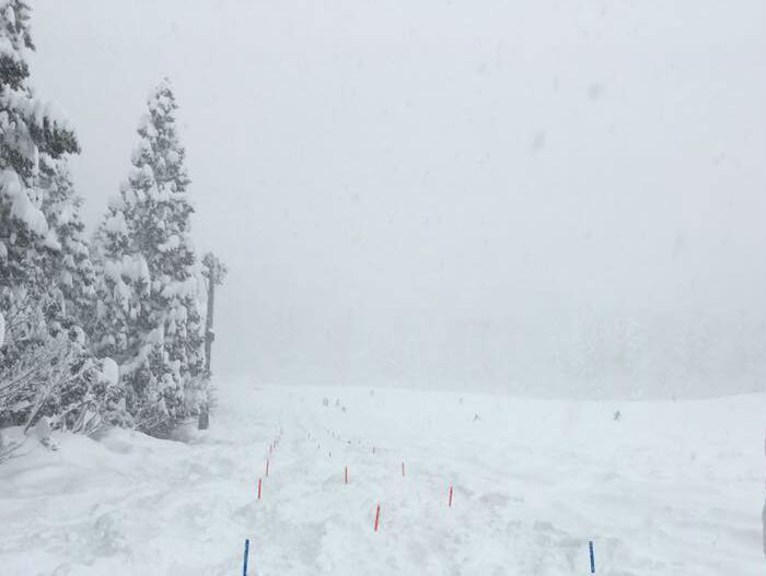 1月15日の大雪！