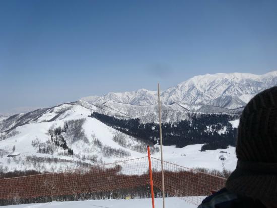 今年も沢山行きます