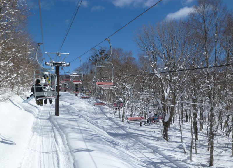 雪質抜群