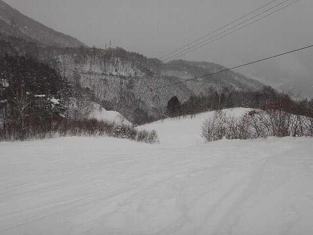 練習です