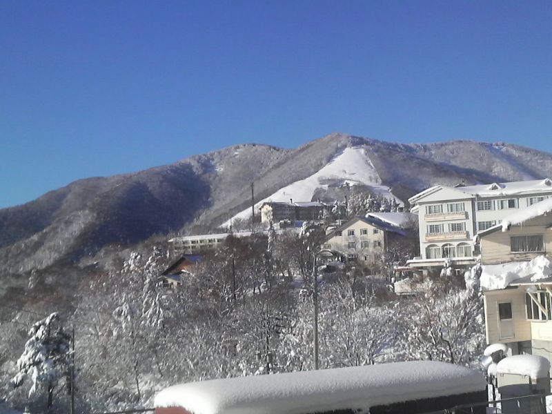 広大です