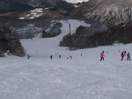 雪が降った