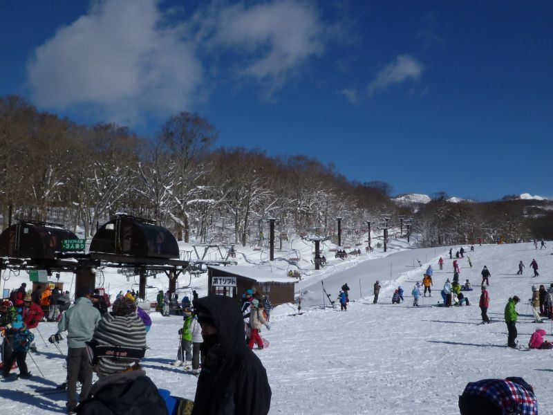 積雪豊富です