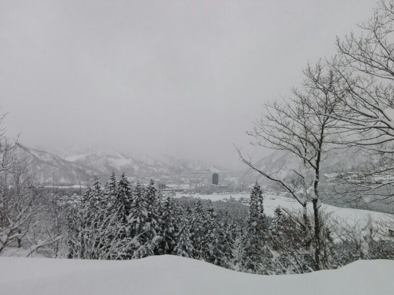 大雪パウダー