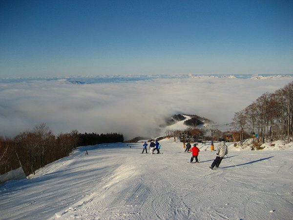 実家帰りのついでに