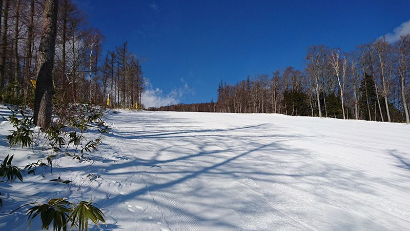 今年も行きます。
