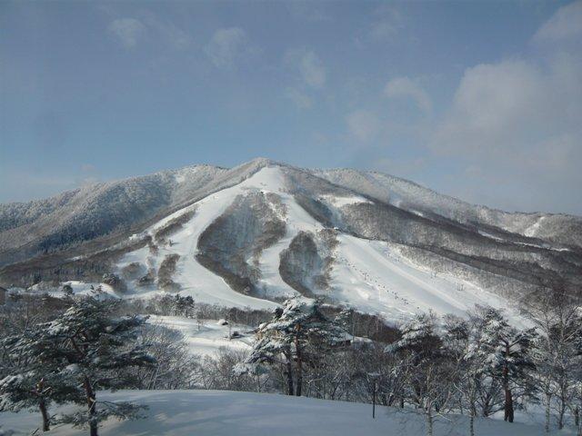 斑尾です。