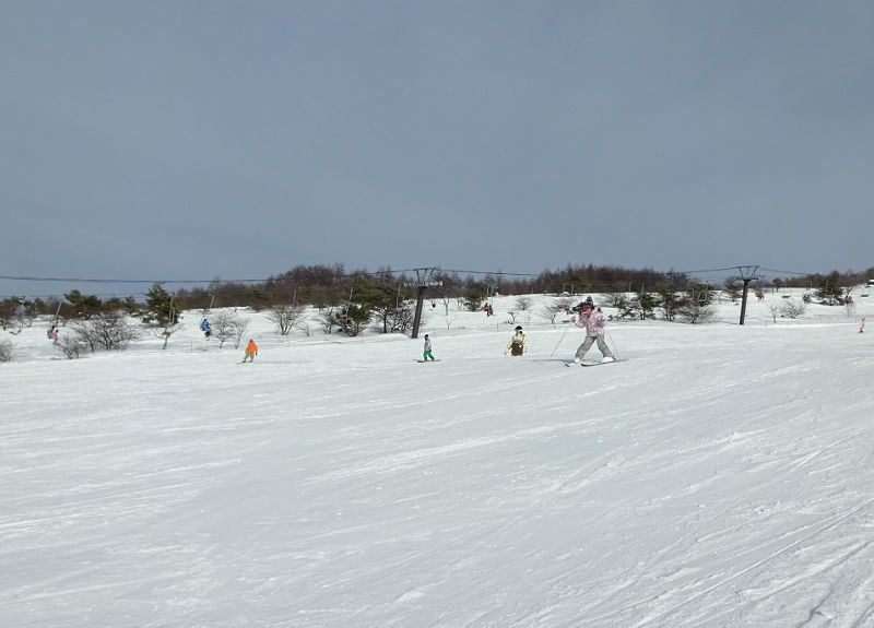 ロイヤルヒルです。