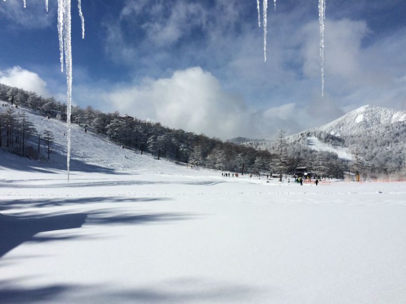 いい天気でした