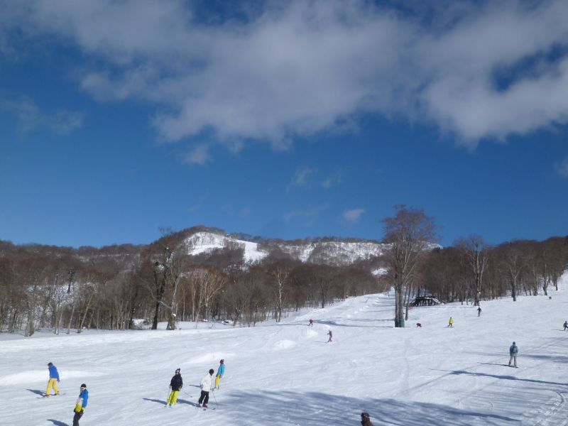 充実してます