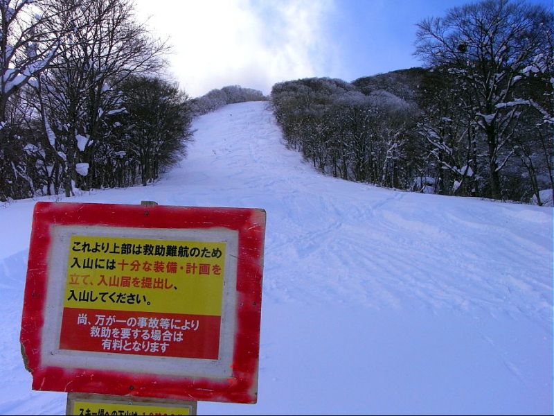 まだぱうよりタングラム好き