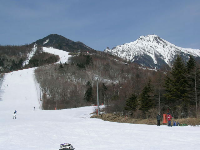 ファミリー向けスキー場